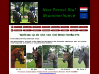 brummerhoeve.nl