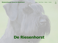 Riesenhorst.net