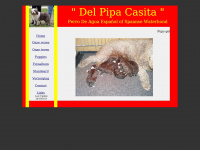 Spaansewaterhond.net