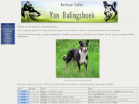Balingshoek.com