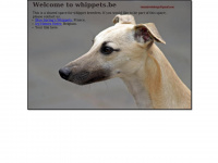 Whippets.be