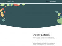Galsteen.org