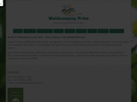 Waldcamping-pruem.de