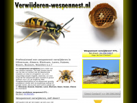 verwijderen-wespennest.nl