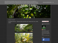 Paradisexpress.blogspot.com
