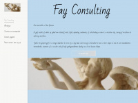 fayconsulting.nl