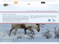 Reindeerherding.org