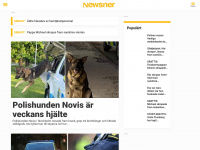 Newsner.com