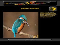 Ijsvogel-biesbosch.nl