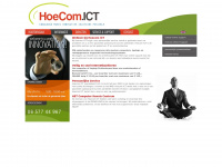 Hoecomict.com