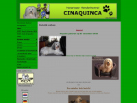 Cinaquinca.nl
