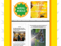 nadinefoundation.nl