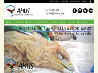 Amus.org.es