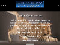 Helmiflick.com