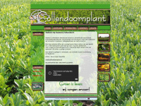 collendoornplant.nl