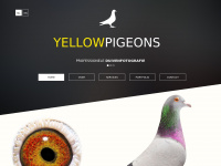 Yellowpigeons.be