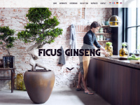 Ficus-ginseng.com