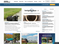 Holsteininternational.com