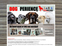 dogxperience.com