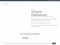 Vincentdubroeucq.com