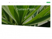 Custersplants.nl