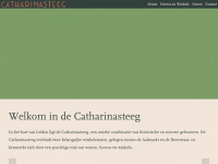 Catharinasteeg.nl