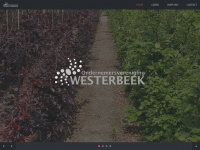 Westerbeek.info
