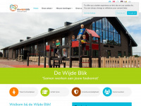 Dewijdeblikkamerik.nl