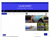 lilibuznet.com