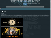 Teenageheadmusic.net