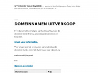 cyberteam.nl
