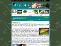 Axolotl.org