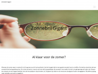 Zonnebrilgigant.nl