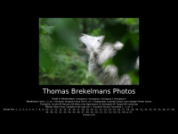 Thomasbrekelmans.com