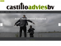 Castilloadvies.nl