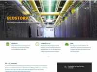 ecostora.com