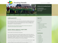 Scoutinghasselo.nl