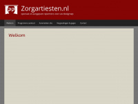 zorgartiesten.nl