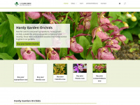 Hardyorchidsforyourgarden.com