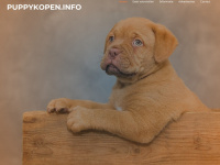 Puppykopen.info