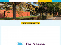 desleye.nl