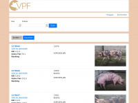 Vpfonlineveiling.be