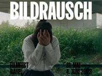 bildrausch-basel.ch