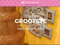 Dichocolo.nl
