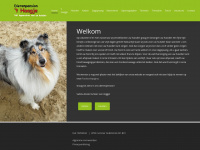dierenpensionhethaagje.nl