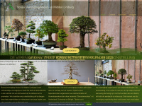Bonsaivereniging-nml.nl