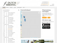 dutchbirdalerts.nl