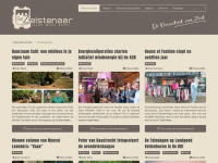 Dezeistenaar.nl