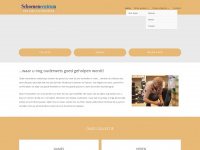 Schoenencentrum-vlaardingen.nl