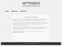 witteveen-bedrijfsondersteuning.nl